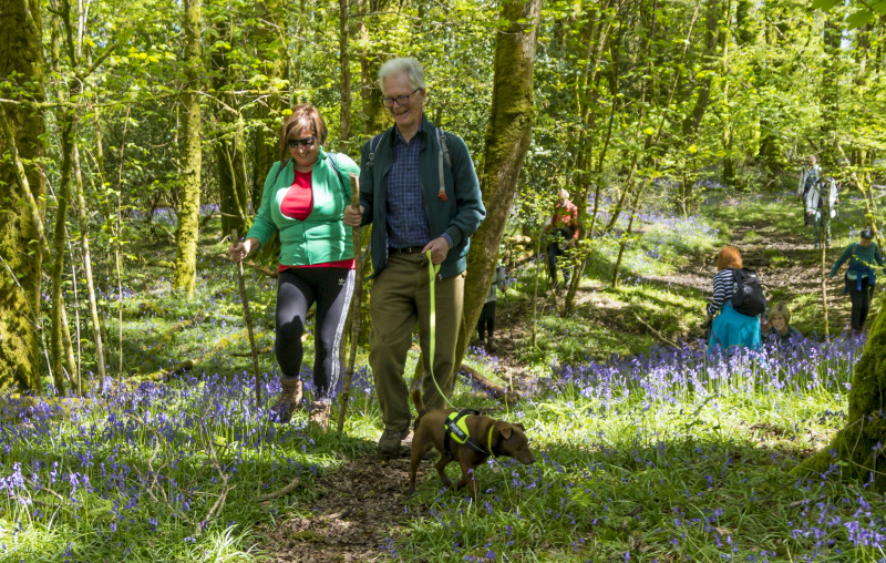 Photograph of Walking Route - Image 24