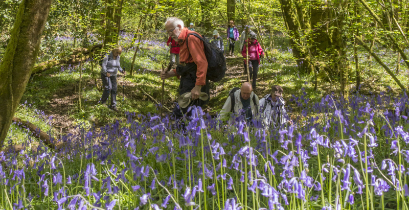 Photograph of Walking Route - Image 28