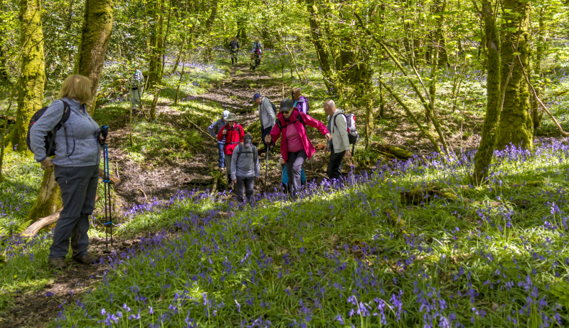 Photograph of Walking Route - Image 29