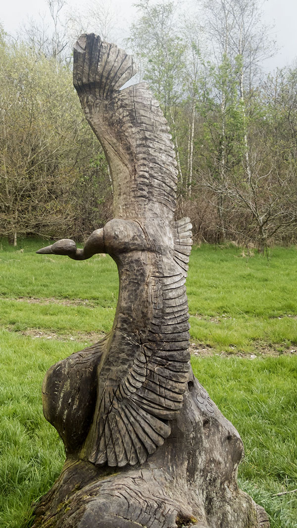 Photograph of Walking Route - Image 31