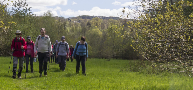 Photograph of Walking Route - Image 32