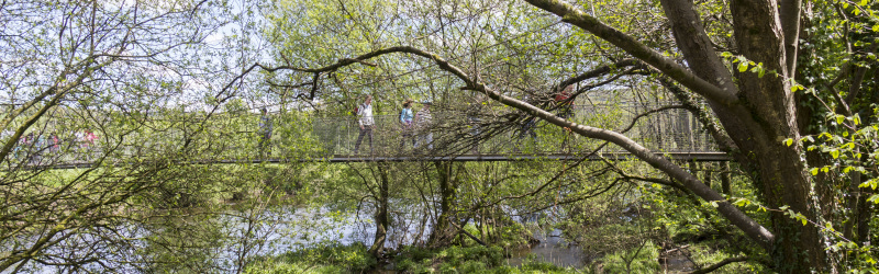 Photograph of Walking Route - Image 36