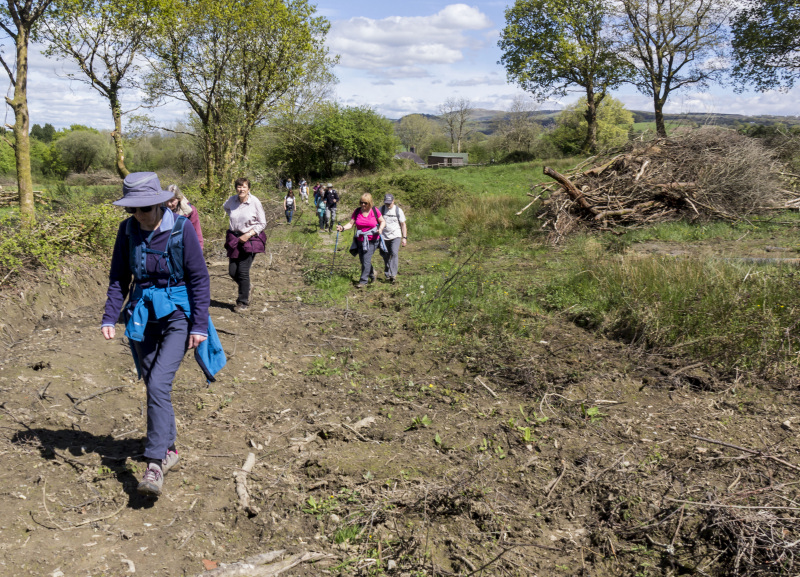 Photograph of Walking Route - Image 6
