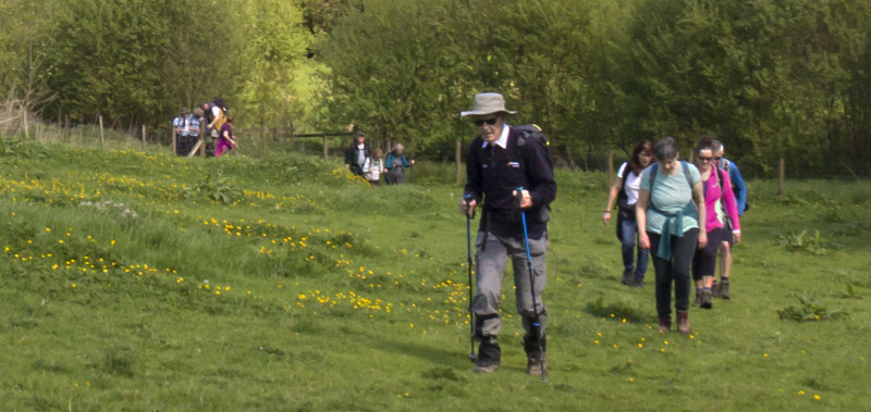 Photograph of Walking Route - Image 7