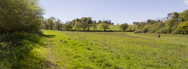 Photograph of Walking Route - Image 9