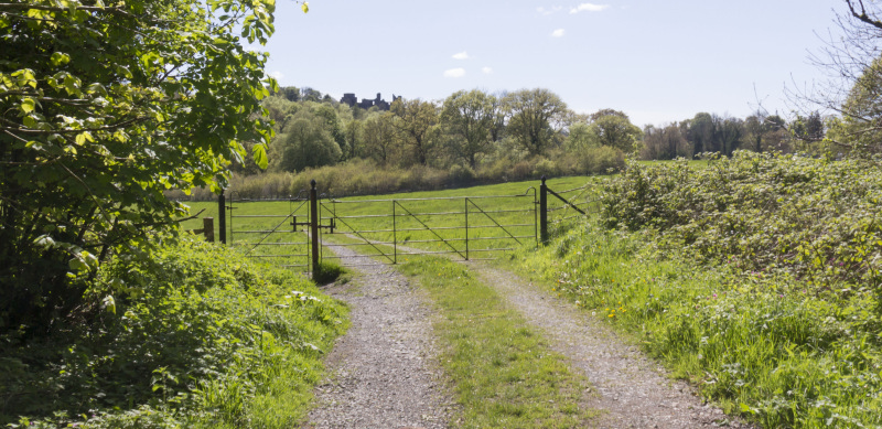 Photograph of Walking Route - Image 12