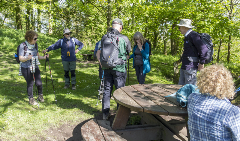 Photograph of Walking Route - Image 15