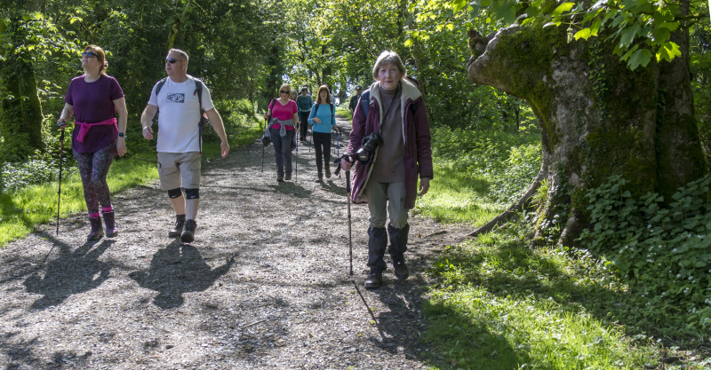 Photograph of Walking Route - Image 16