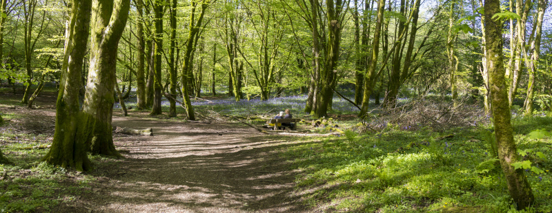 Photograph of Walking Route - Image 17
