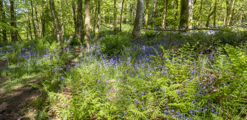 Photograph of Walking Route - Image 19
