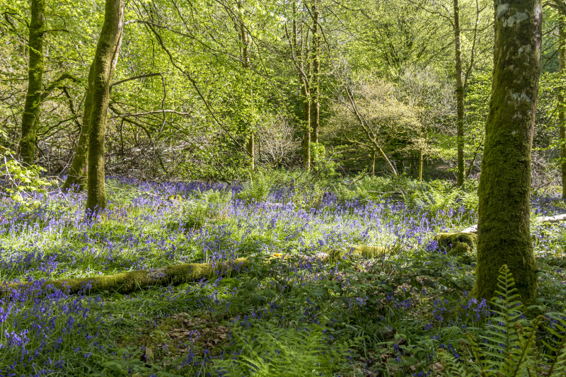 Photograph of Walking Route - Image 20