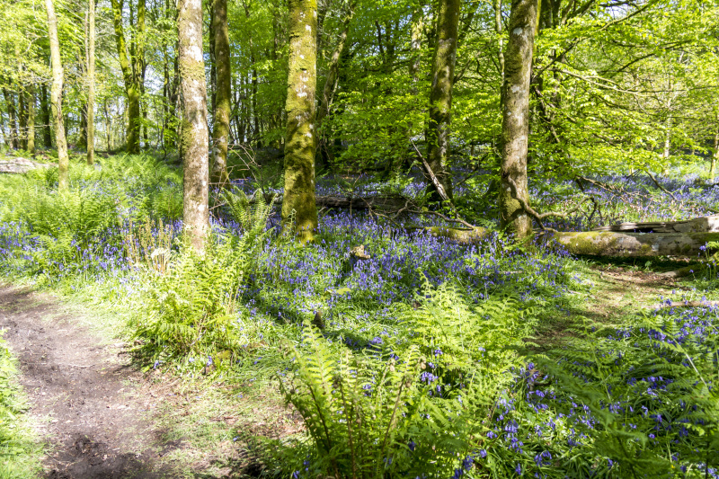 Photograph of Walking Route - Image 21