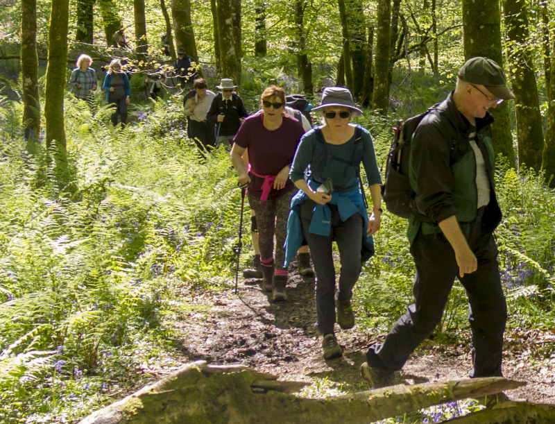 Photograph of Walking Route - Image 22