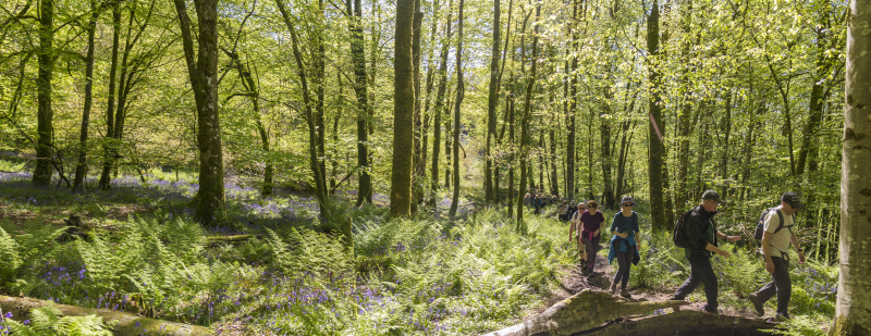 Photograph of Walking Route - Image 23