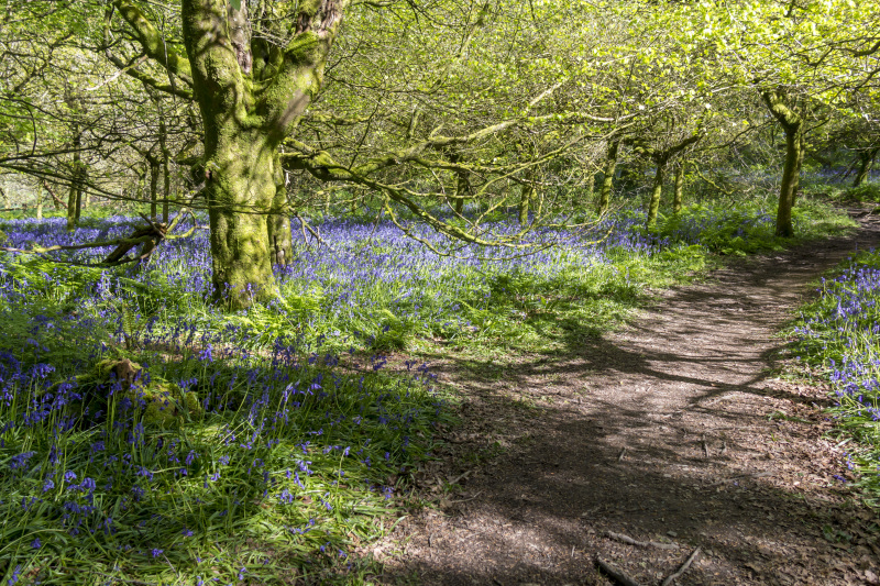 Photograph of Walking Route - Image 26