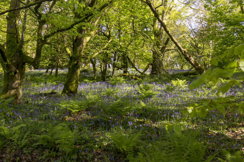 Photograph of Walking Route - Image 27