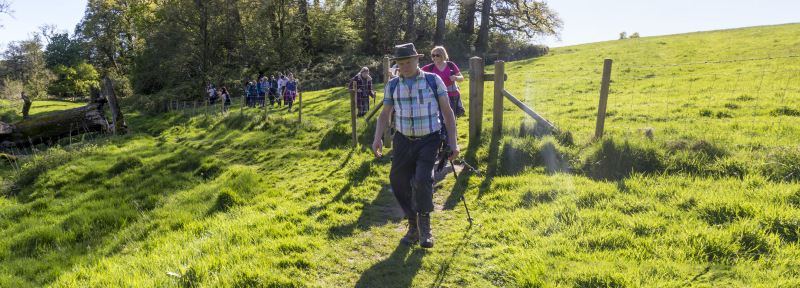 Photograph of Walking Route - Image 28