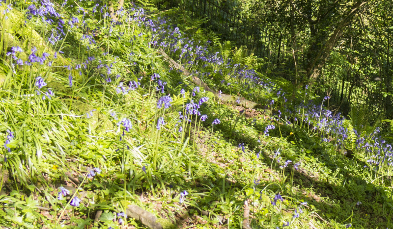 Photograph of Walking Route - Image 31