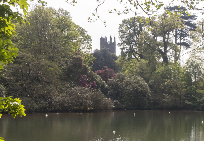 Photograph of Walking Route - Image 3