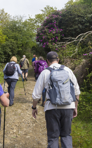 Photograph of Walking Route - Image 4