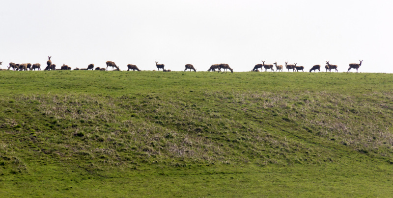 Photograph of Walking Route - Image 5