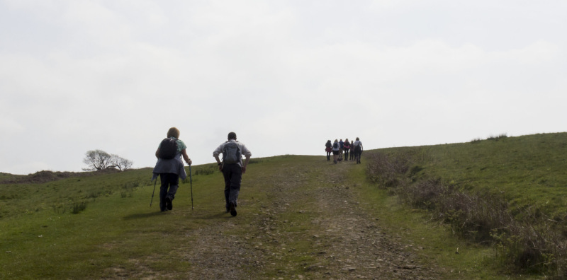 Photograph of Walking Route - Image 6