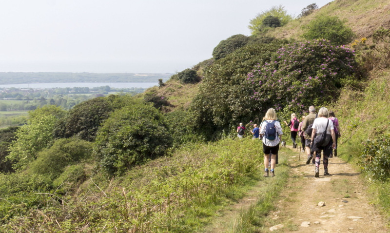 Photograph of Walking Route - Image 8