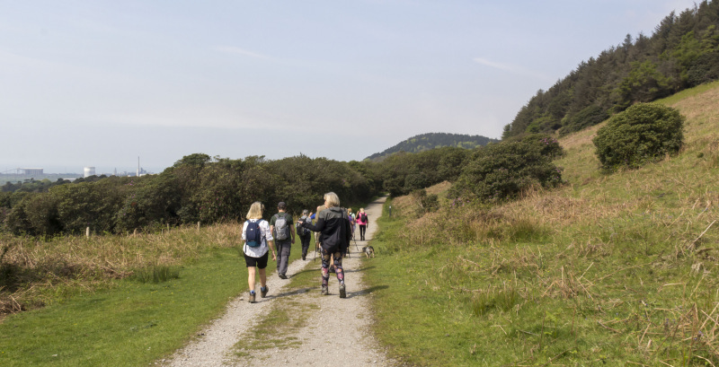 Photograph of Walking Route - Image 9