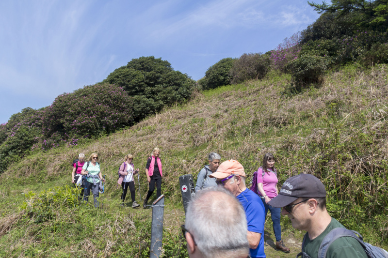 Photograph of Walking Route - Image 10