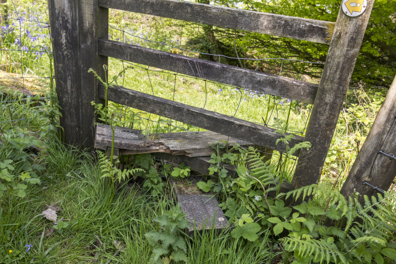 Photograph of Walking Route - Image 16