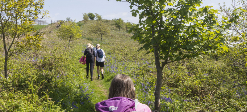 Photograph of Walking Route - Image 24
