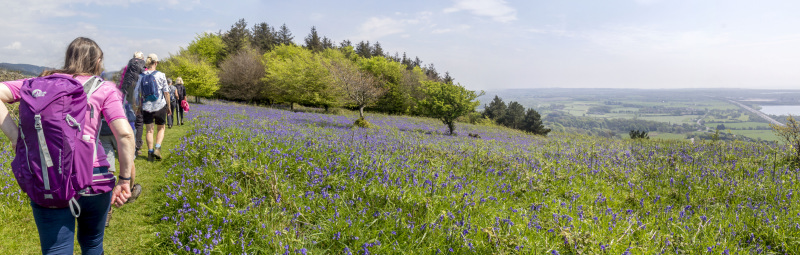 Photograph of Walking Route - Image 25