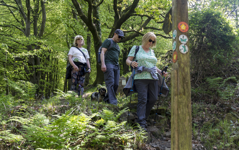 Photograph of Walking Route - Image 26