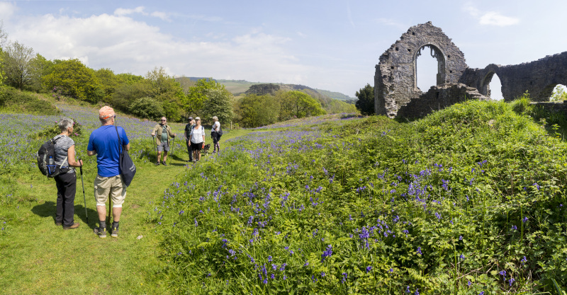 Photograph of Walking Route - Image 32