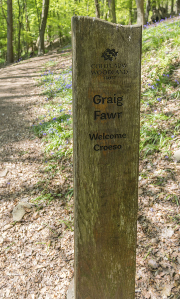 Photograph of Walking Route - Image 35