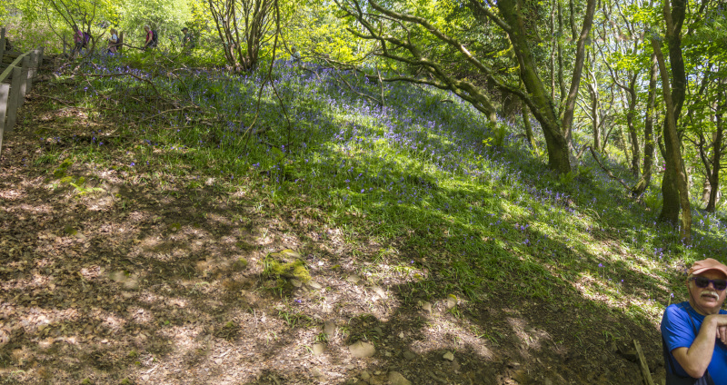 Photograph of Walking Route - Image 36