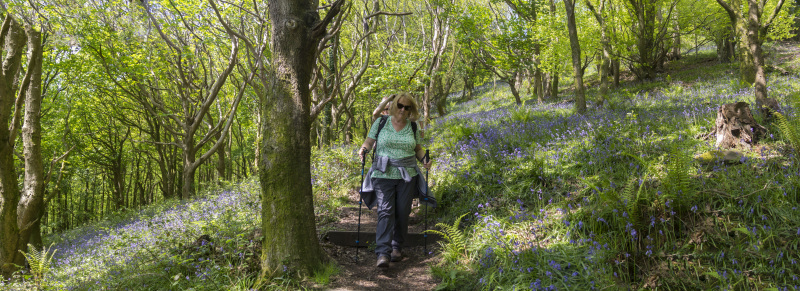 Photograph of Walking Route - Image 38