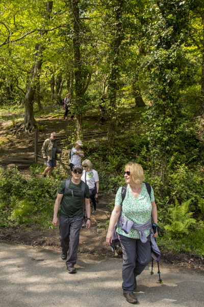 Photograph of Walking Route - Image 39