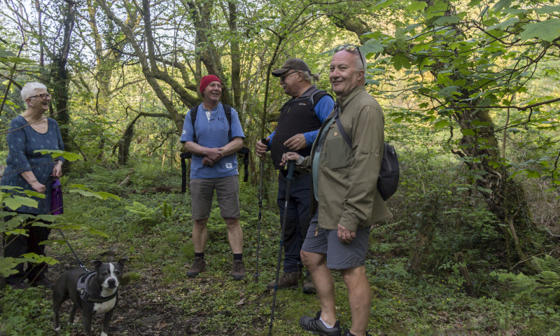 Photograph of Walking Route - Image 3
