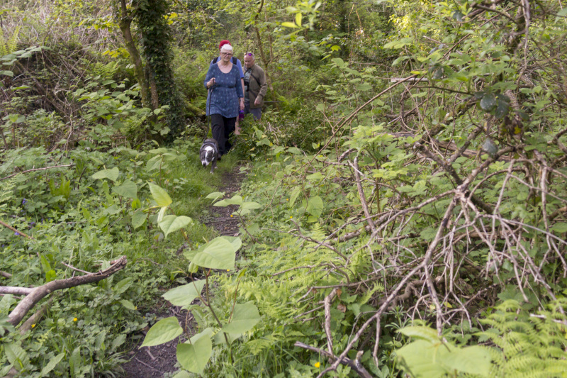 Photograph of Walking Route - Image 4