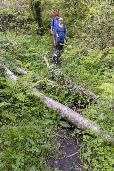 Photograph of Walking Route - Image 5