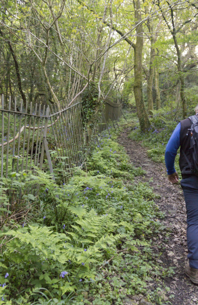 Photograph of Walking Route - Image 7