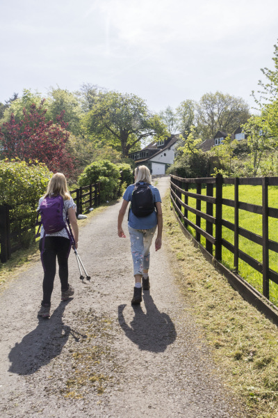 Photograph of Walking Route - Image 4