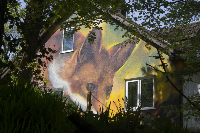 Photograph of Walking Route - Image 6
