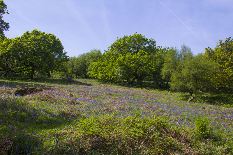 Photograph of Walking Route - Image 7