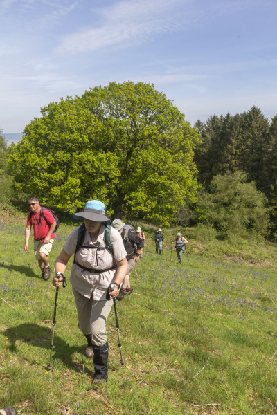 Photograph of Walking Route - Image 8