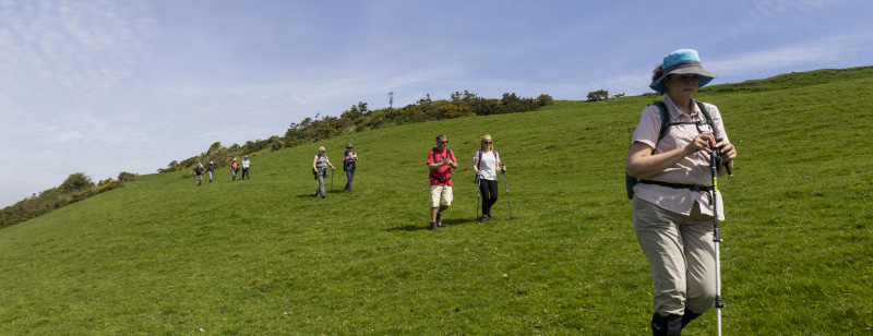 Photograph of Walking Route - Image 13