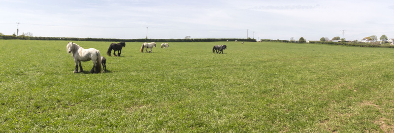 Photograph of Walking Route - Image 19