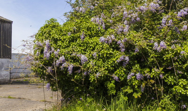 Photograph of Walking Route - Image 22