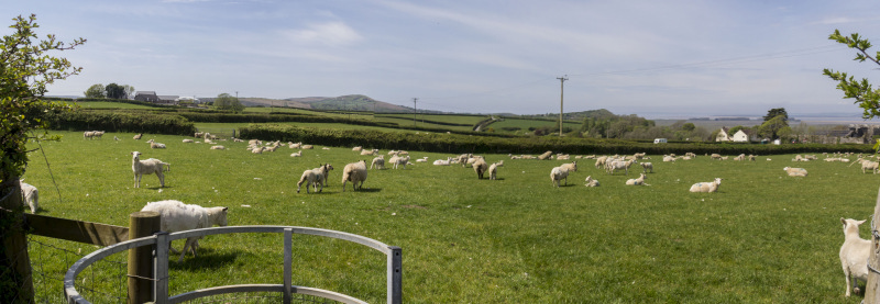 Photograph of Walking Route - Image 26